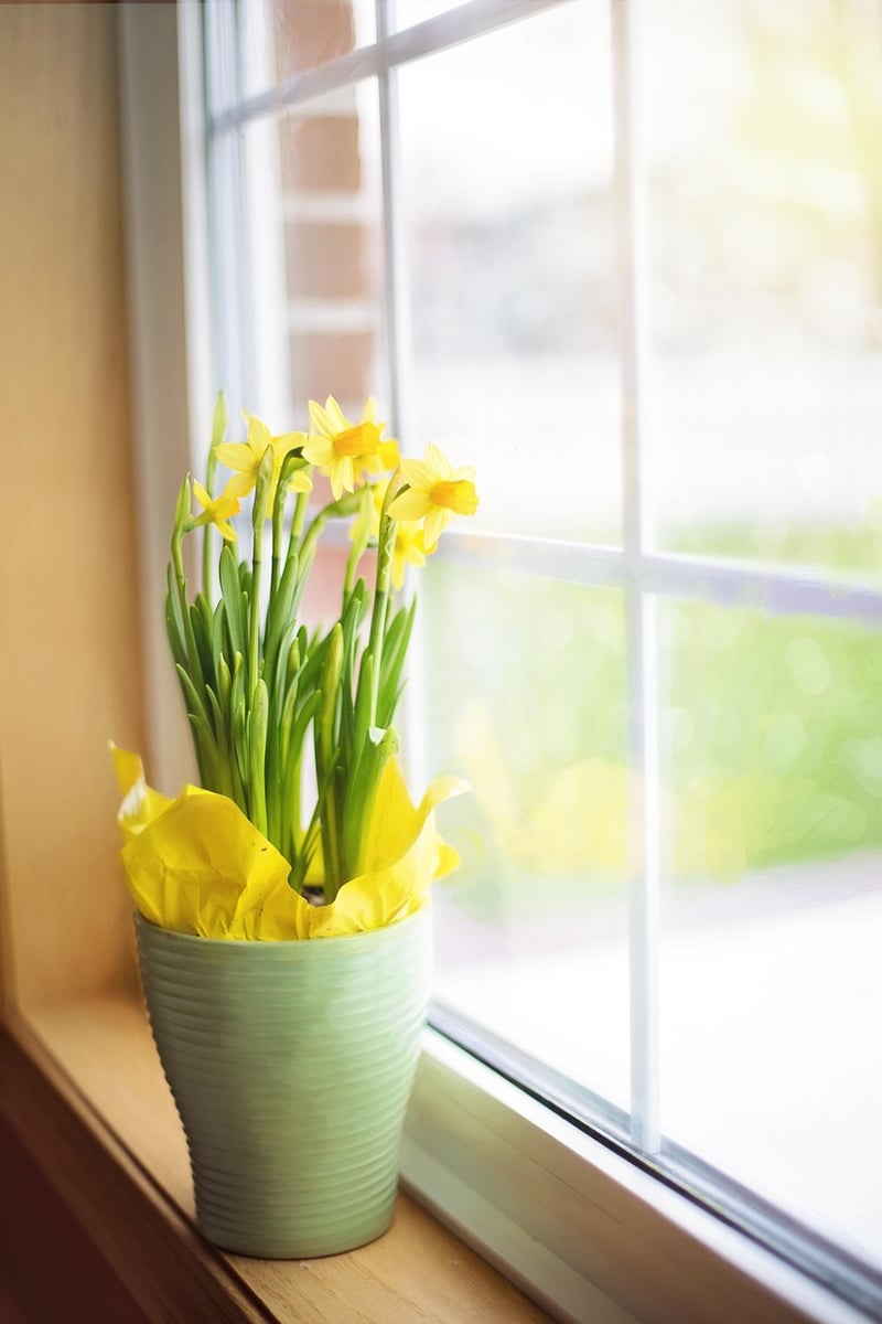 Flowering Plants
